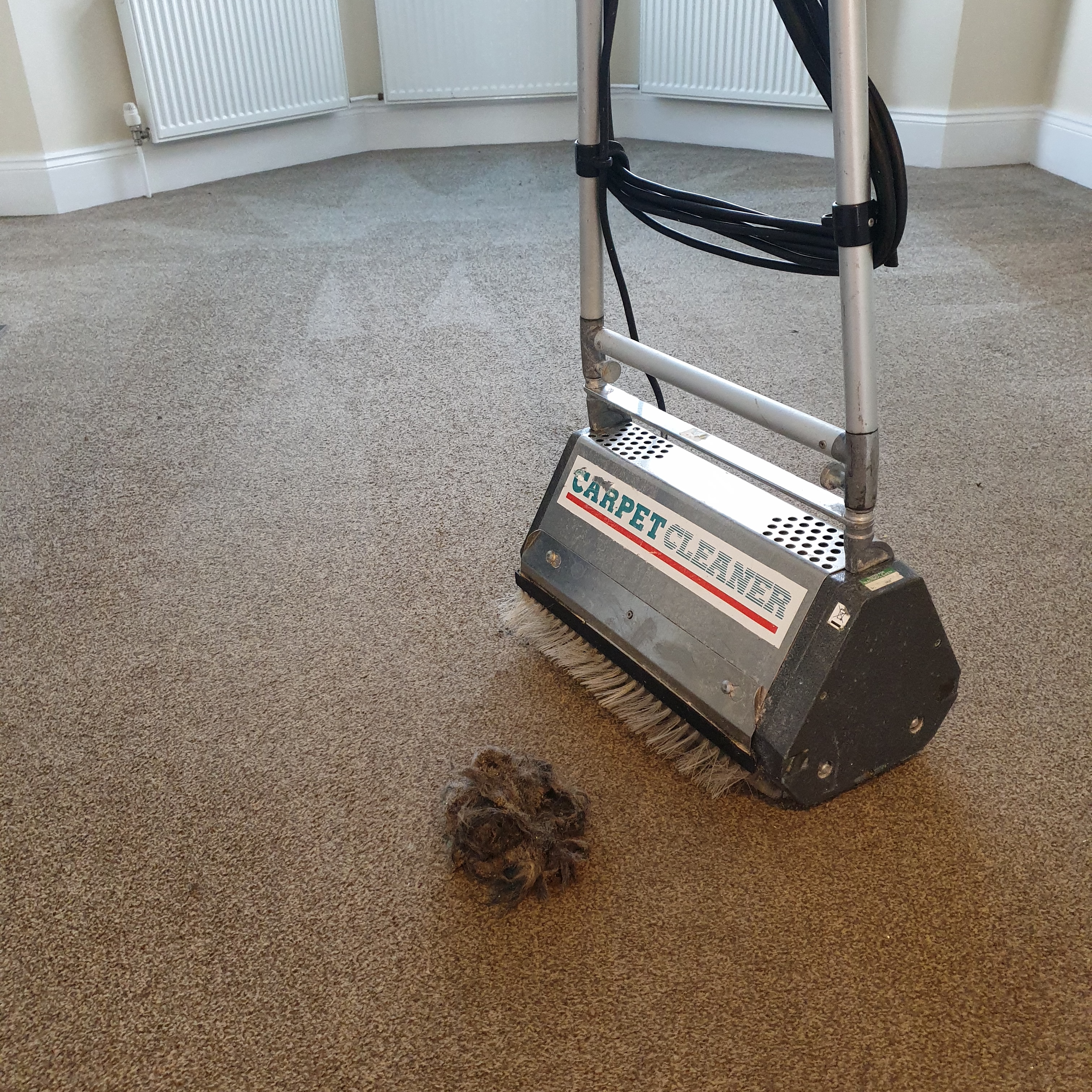 Carpet agitator