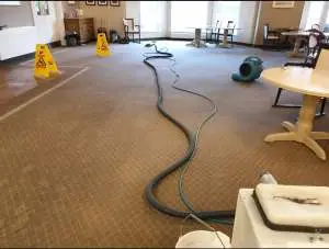 Flood cleaning in Eastbourne