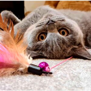 Pet safe cleaning