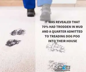 Carpet soiling image