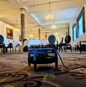 Speed drying after commercial carpet cleaning